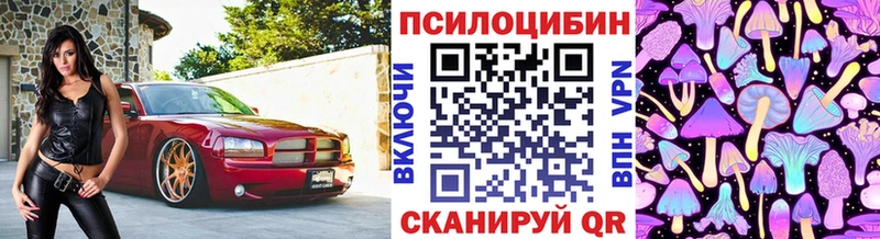 Галлюциногенные грибы Psilocybine cubensis Грязовец
