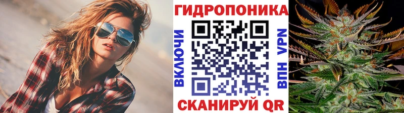 купить наркотики цена  Грязовец  Бошки Шишки ГИДРОПОН 